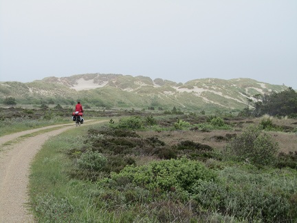 Rabjerg Mile - enorme stuifduinen