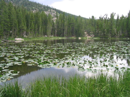 Nymph Lake