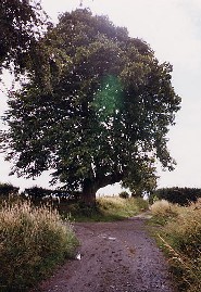 Tussen Nessonvaux en Olne