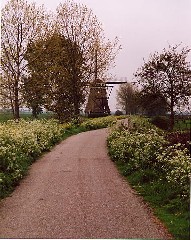 Molen bij Streefkerk