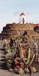 De Jardin de Cactus