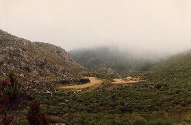 Mist in de Serra da Estrela