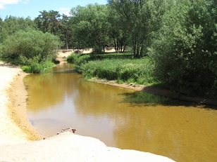 De Dinkel in het Lutterzand