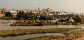 Uitzicht over de Guadalquivir op Cordoba