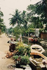 Het kanaal van Negombo