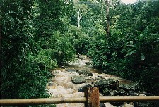 Riviertje in de Usambara Mountains bij Amani