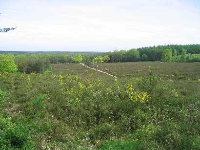 Uitzicht vanaf de Elsterberg