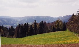 bloeiende bergweiden in de buurt van de boerderij